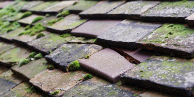 Frinton roof repair costs